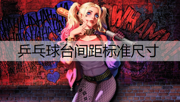乒乓球台间距标准尺寸