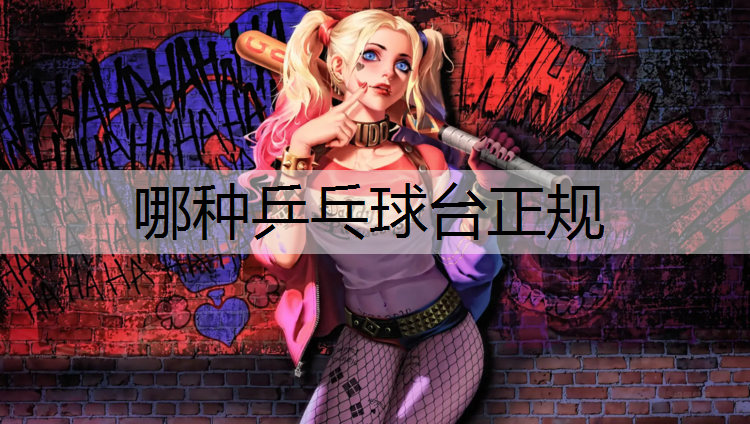 哪种乒乓球台正规