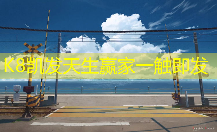 K8凯发：汕尾校园塑胶跑道