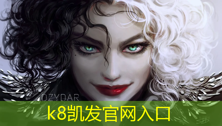 k8凯发官网入口：新网球网子解说