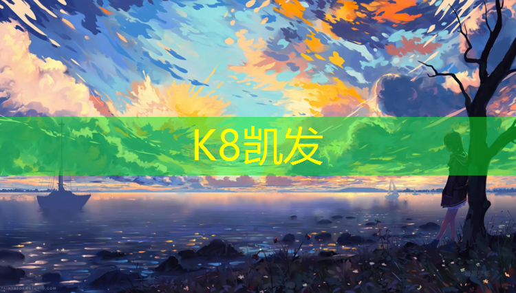 K8凯发：青少年网球网球场