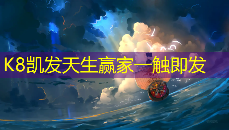 k8凯发官网入口：塑胶跑道清洗工具