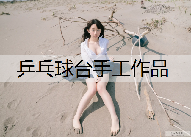 乒乓球台手工作品