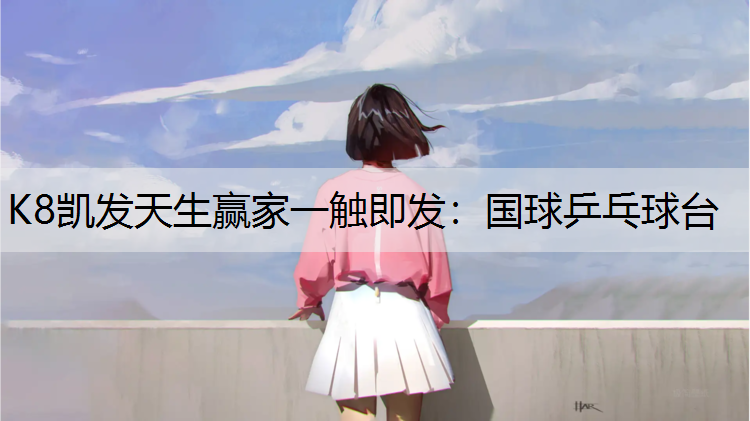 国球乒乓球台